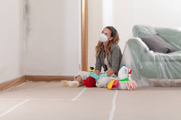 Reliable Basement Mold Remediation contractor in Frankfort, MI by WQB Mold Removal